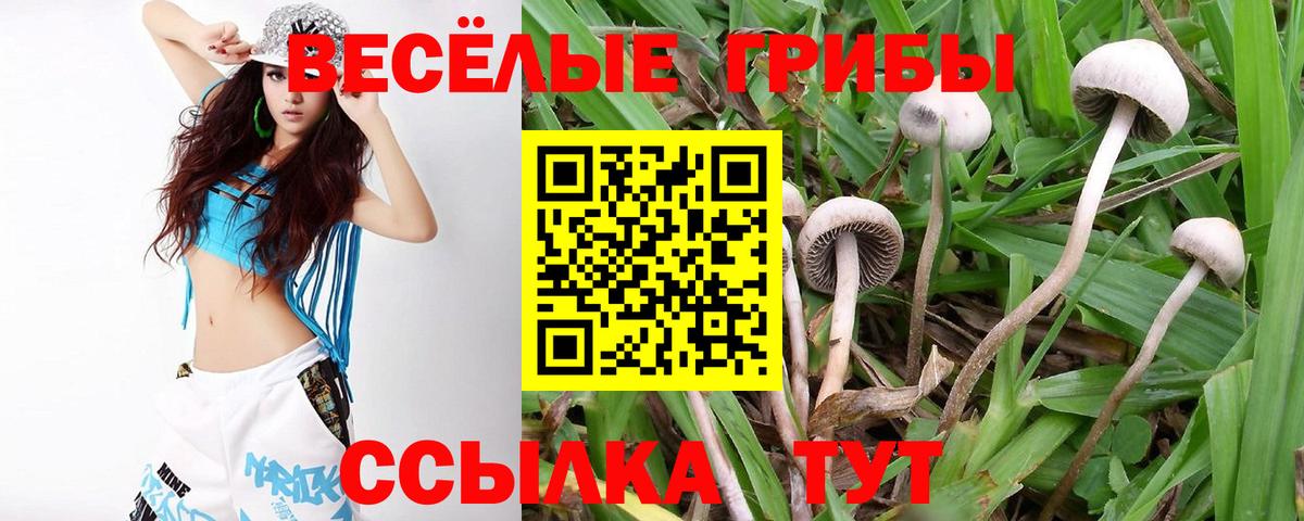 Семёнов  где купить   Вход с VPN  Галлюциногенные грибы Psilocybine cubensis 